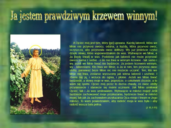 KTO TRWA W JEDNOŚCI Z JEZUSEM, KRZEWEM WINNYM, TEN PRZYNOSI OBFITY PLON